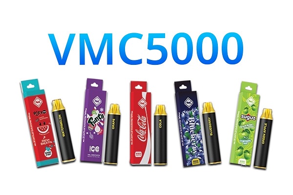 VMC 5000 รูปแบบ พอตใช้แล้วทิ้ง เป็น บุหรี่ไฟฟ้า 5000 คำ
