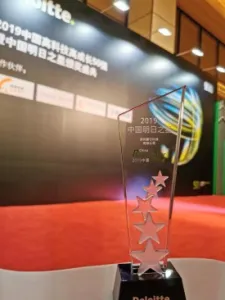 RELX ได้รับรางวัลประจำปี – Deloitte's China Tomorrow Star2
